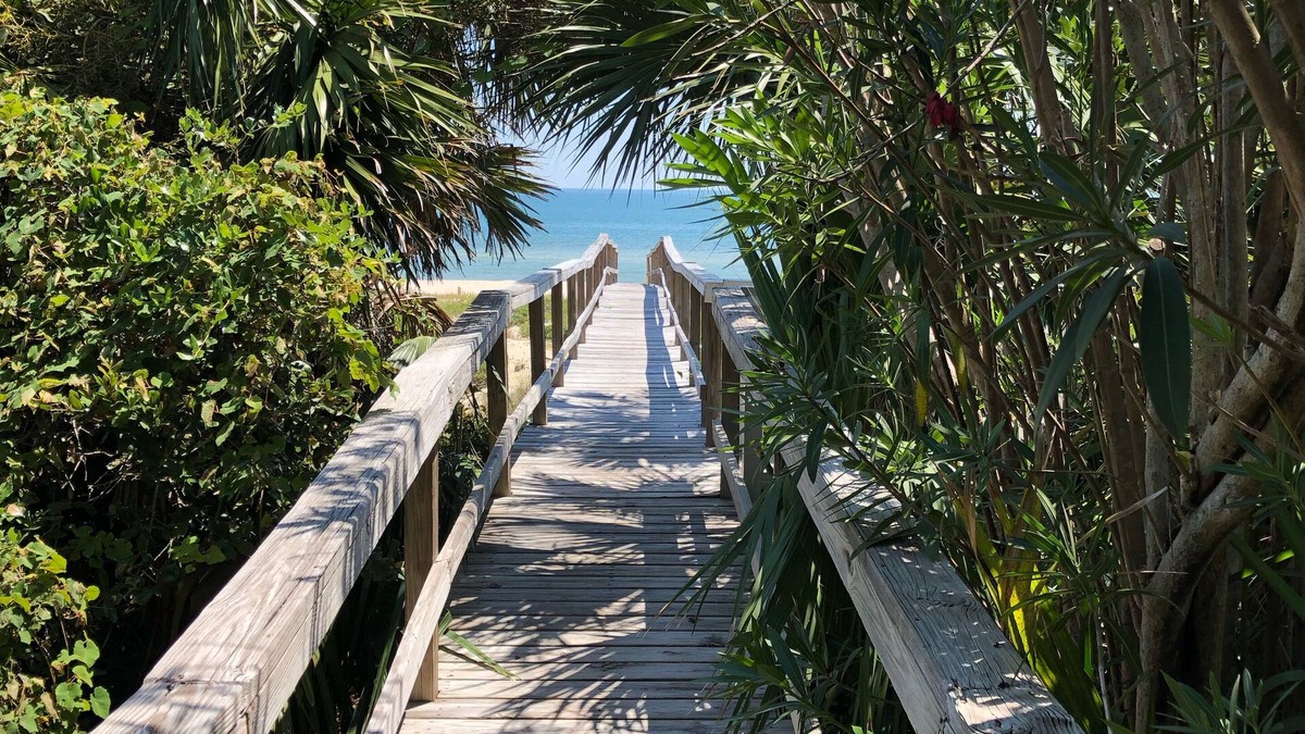 Sea Palm Village House | Gulf Views. Steps to beach and pool. Pets ok. Beautiful, lush property.
