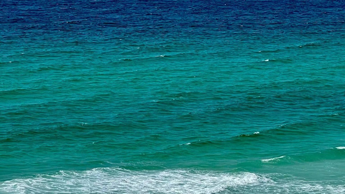 Pensacola Beach Condo | 𝔾𝕦𝕝𝕗𝔽𝕣𝕠𝕟𝕥 𝑬𝒎𝒆𝒓𝒂𝒍𝒅 𝑰𝒔𝒍𝒆 9th Floor Stocked & Stellar Reviews!