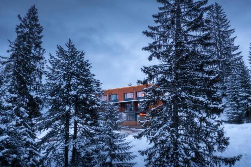 Pejë Hotel | Guri i Kuq Hotel & Vila