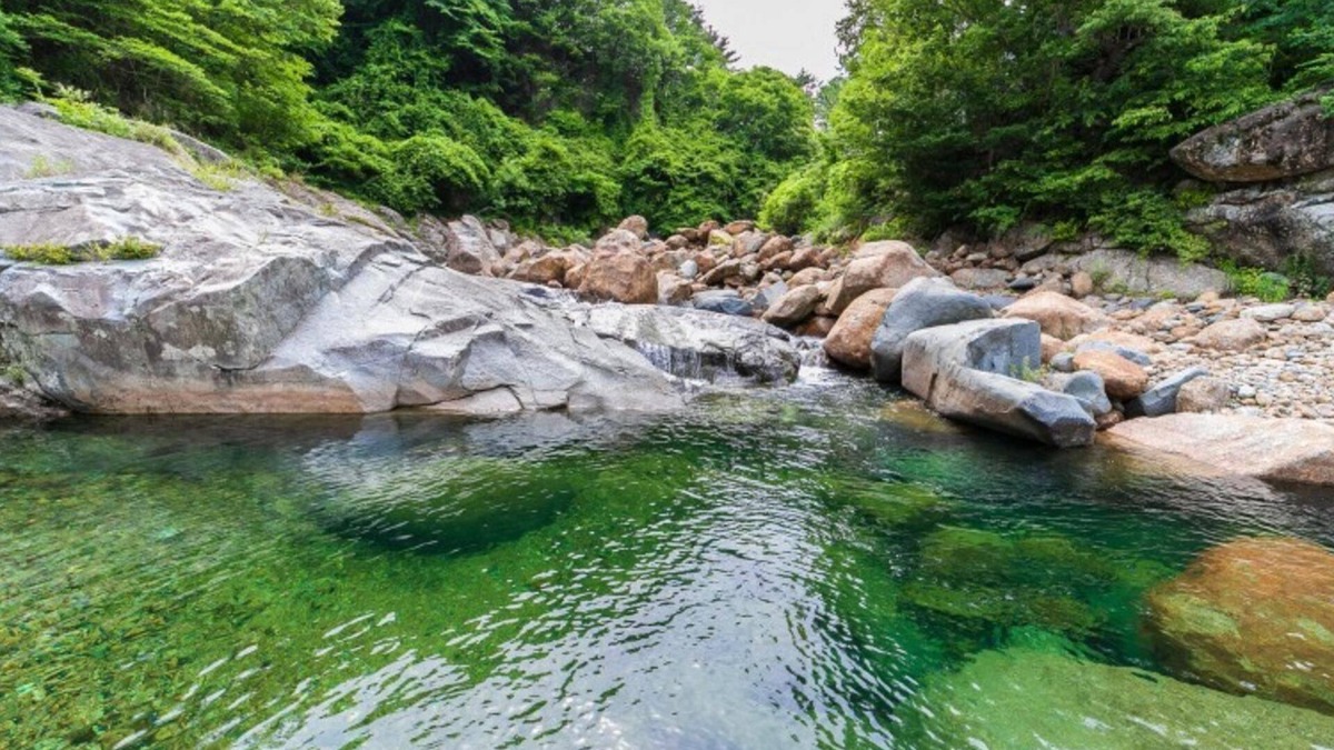 Gurye House | Gurye Jeonmangjoeunjip Pension