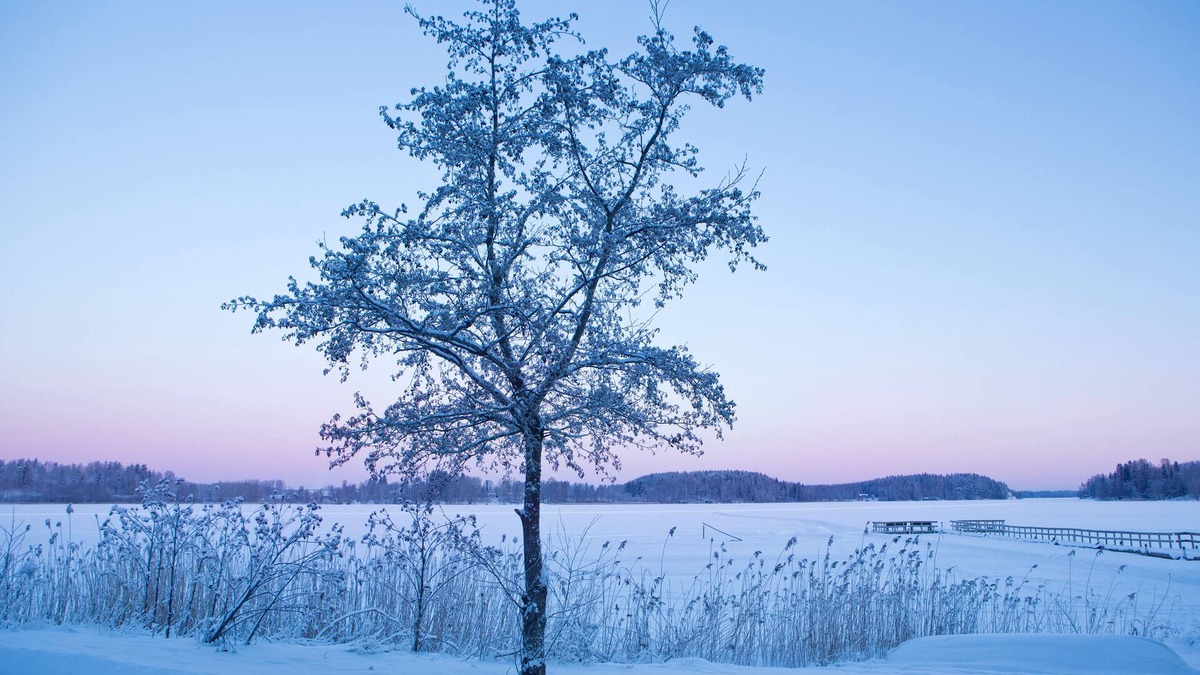Tuusula Hotel | Gustavelund Hotel