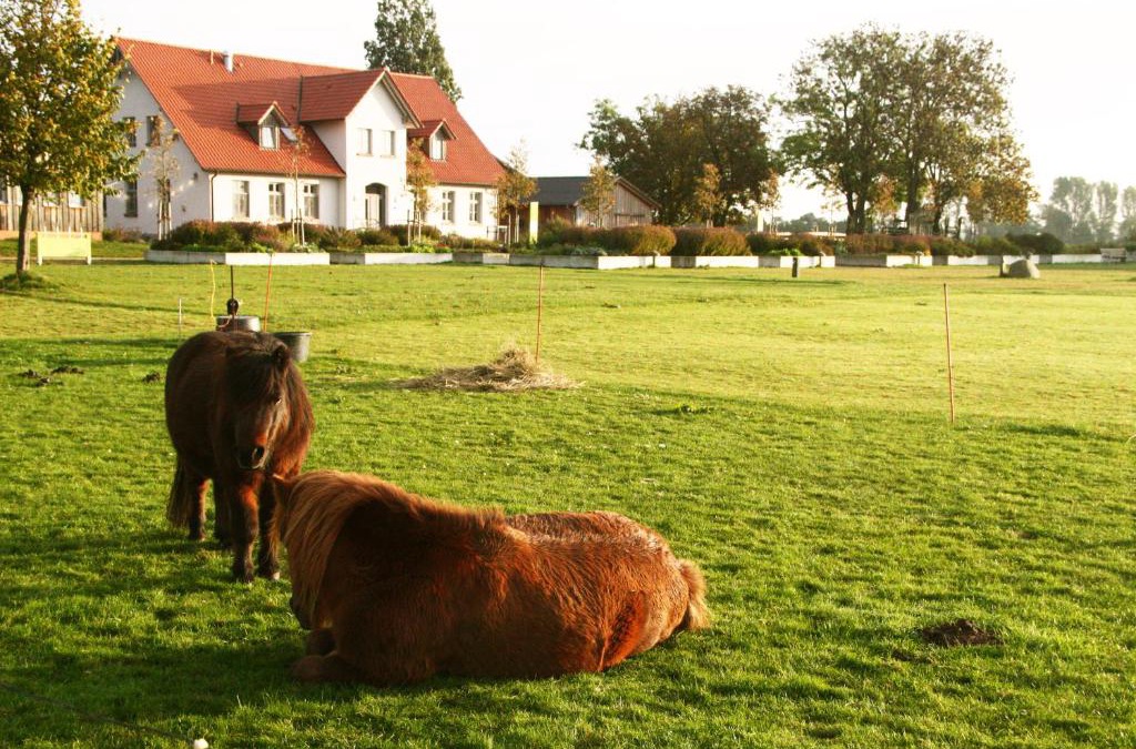 Stahlbrode House | Gutshaus Landwert Hof