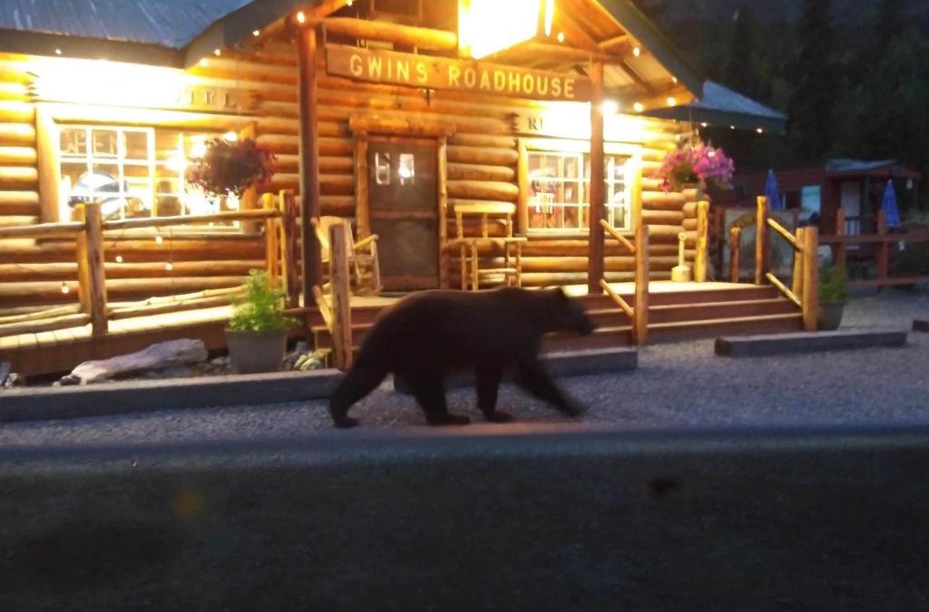 Cooper Landing Cabin | Gwin's Lodge & Roadhouse