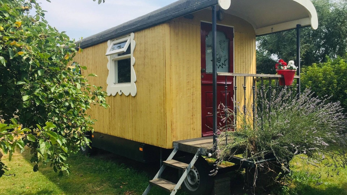Municipality of Bergen op Zoom House | Gypsy Caravan in Weideblick with Farm Animals