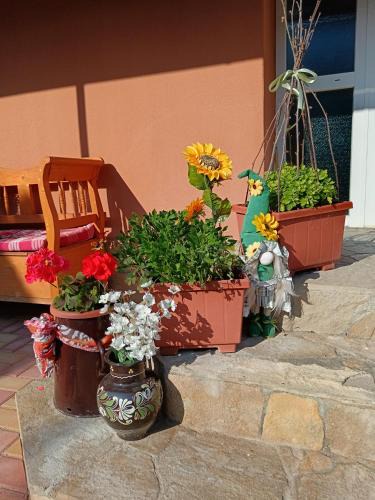Mako Apartment | Hársfa apartman