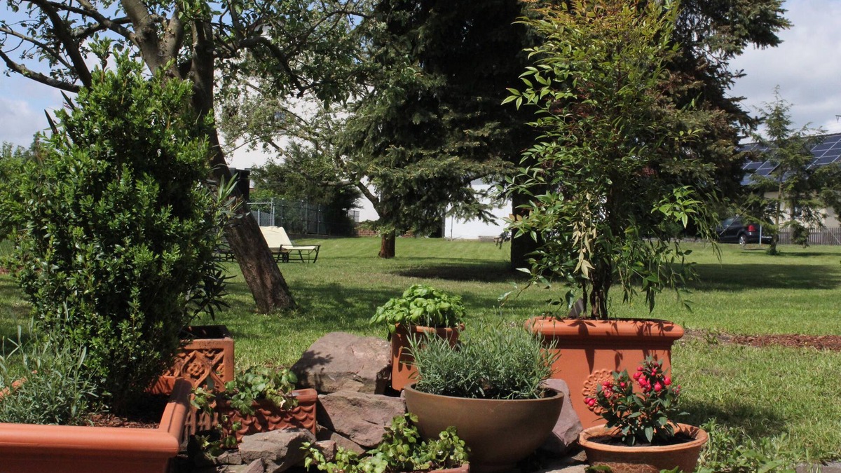 Altfeld Bed & Breakfast | Häuser Der Villa Italia
