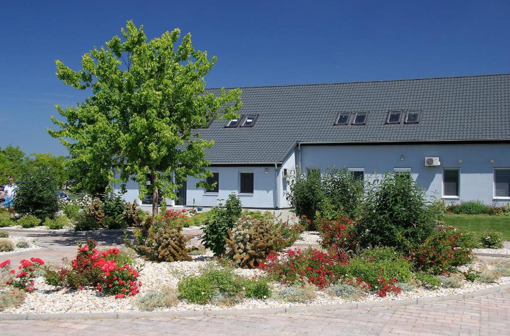 Hedervar House | Hédervári Lovas Vendégház