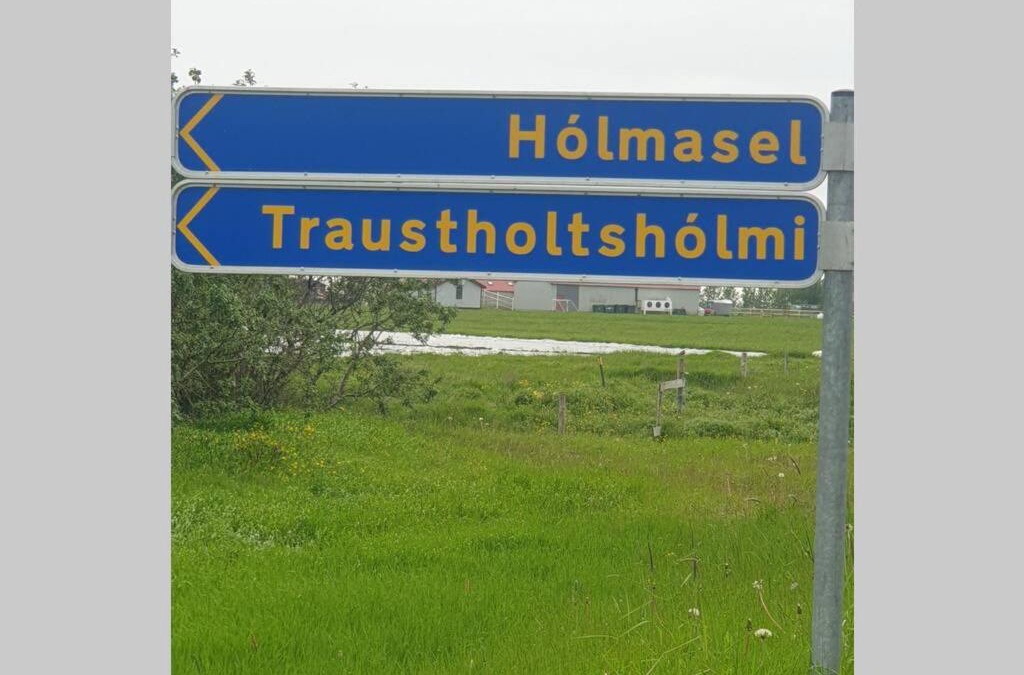 Selfoss Apartment | Hólmasel Riverside Cabin 1