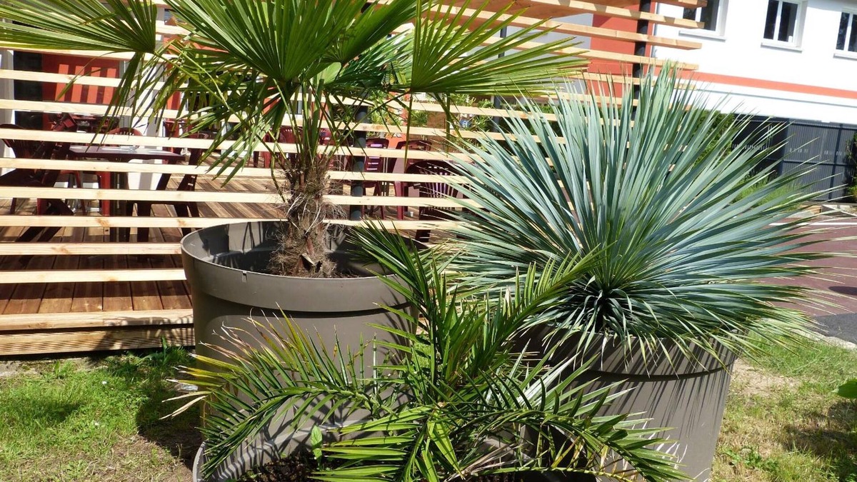 Mulsanne Hotel | Hôtel Arbor