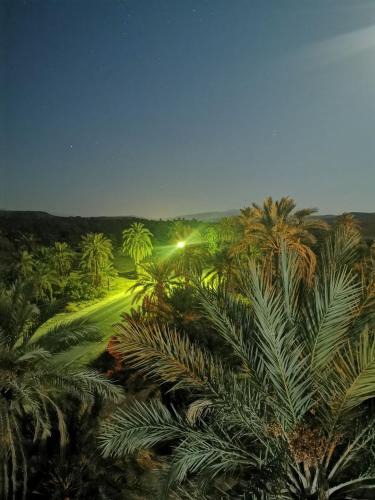 Biskra Province Hotel | Hôtel et restaurant le jardin vert