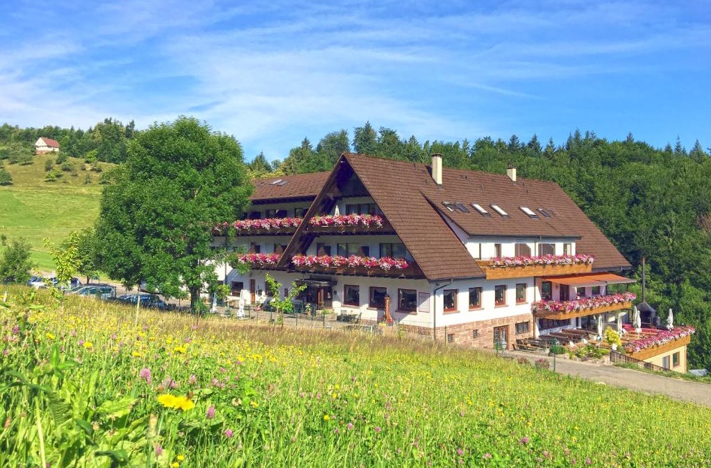 Kutt Hotel | Höhenhotel & Restaurant Kalikutt