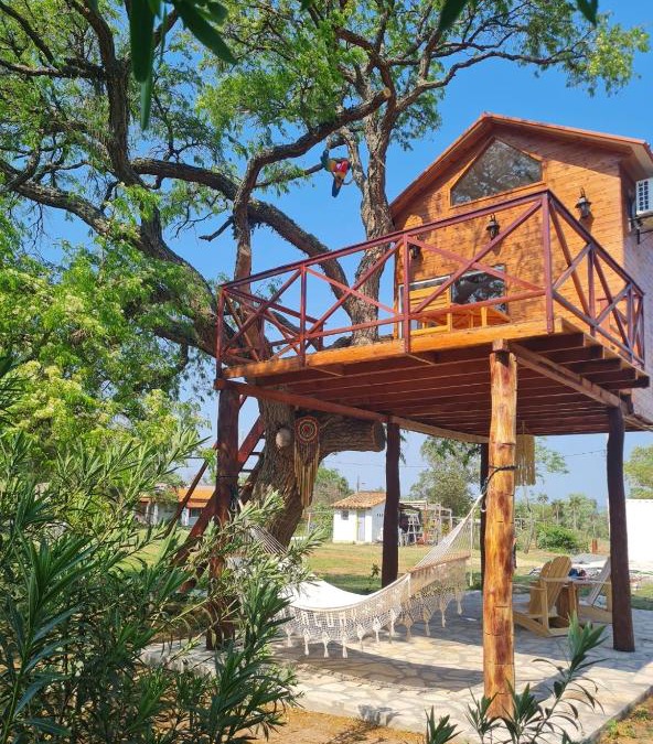 Cordillera House | Haasienda - Nido del Loro - Casa de Arbol