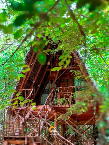 Habarana Resort | Habarana Tree House Ambasewana Resort