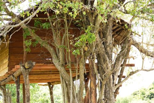 Habarana Other | Habarana Wildwood Treehouse