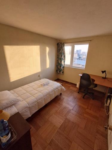 Concepcion House | Habitación en el centro de concepción