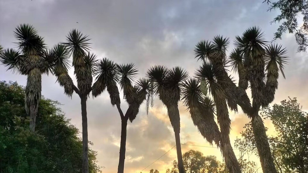 Huasca De Ocampo Apartment | Habitación Enredadera