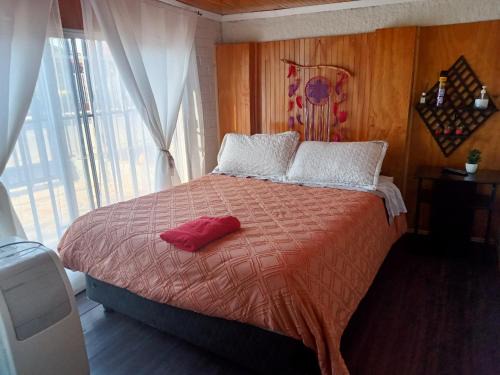 Santa Eduviges House | Habitaciones Pabla