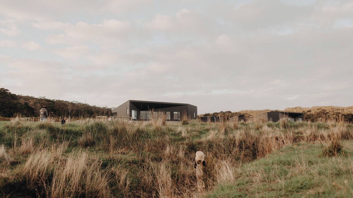Ocean Beach Ski Chalet | HABITAT - Chalet East