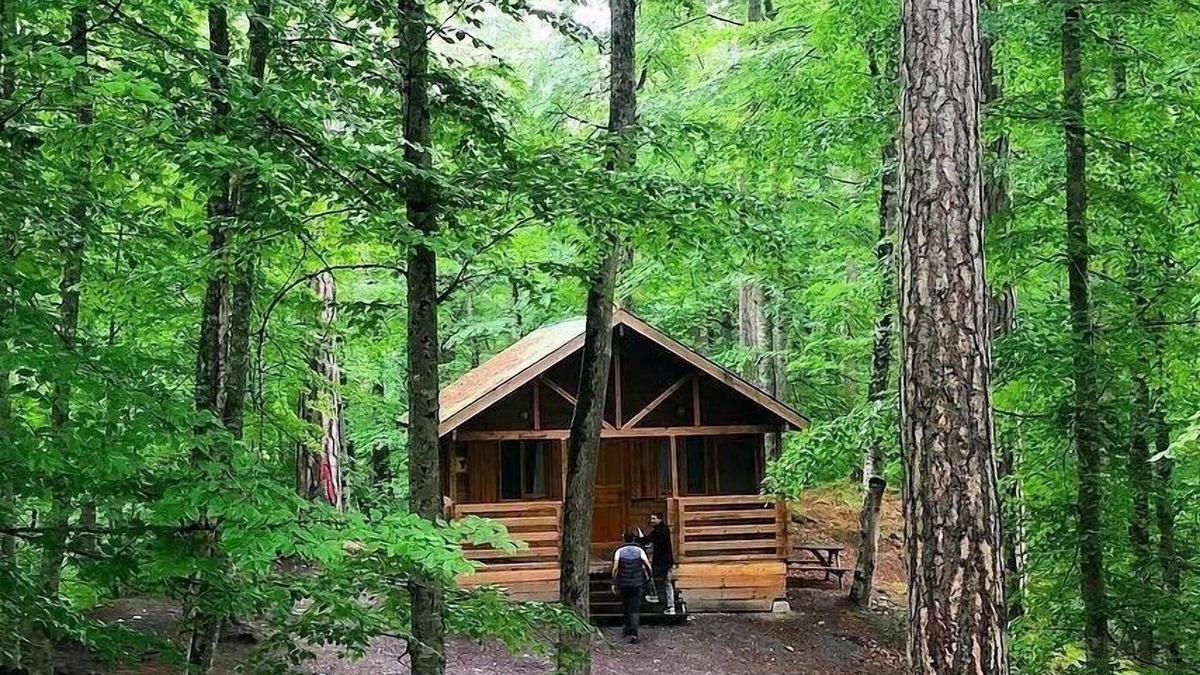 Yedigoller National Park House | Habitat Mesire Evleri