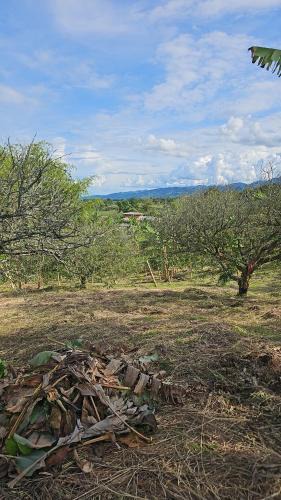 Belen de Umbria House | Hacienda tukuringa