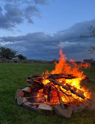 Dinas Other | Hafod tŷ newydd wild camping