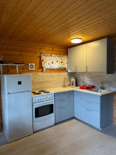Hafslo House | Hafslo hytteutleige Straumane