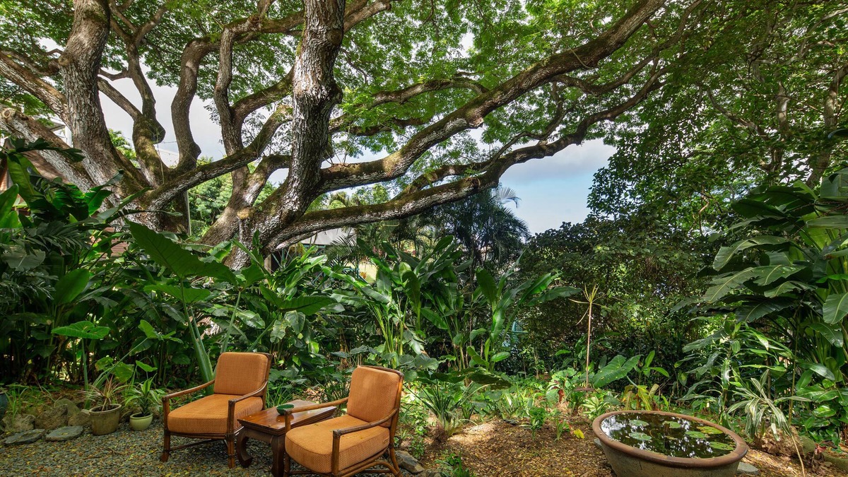 Kaneohe Apartment | Hale Ulula'au - A peaceful forest retreat