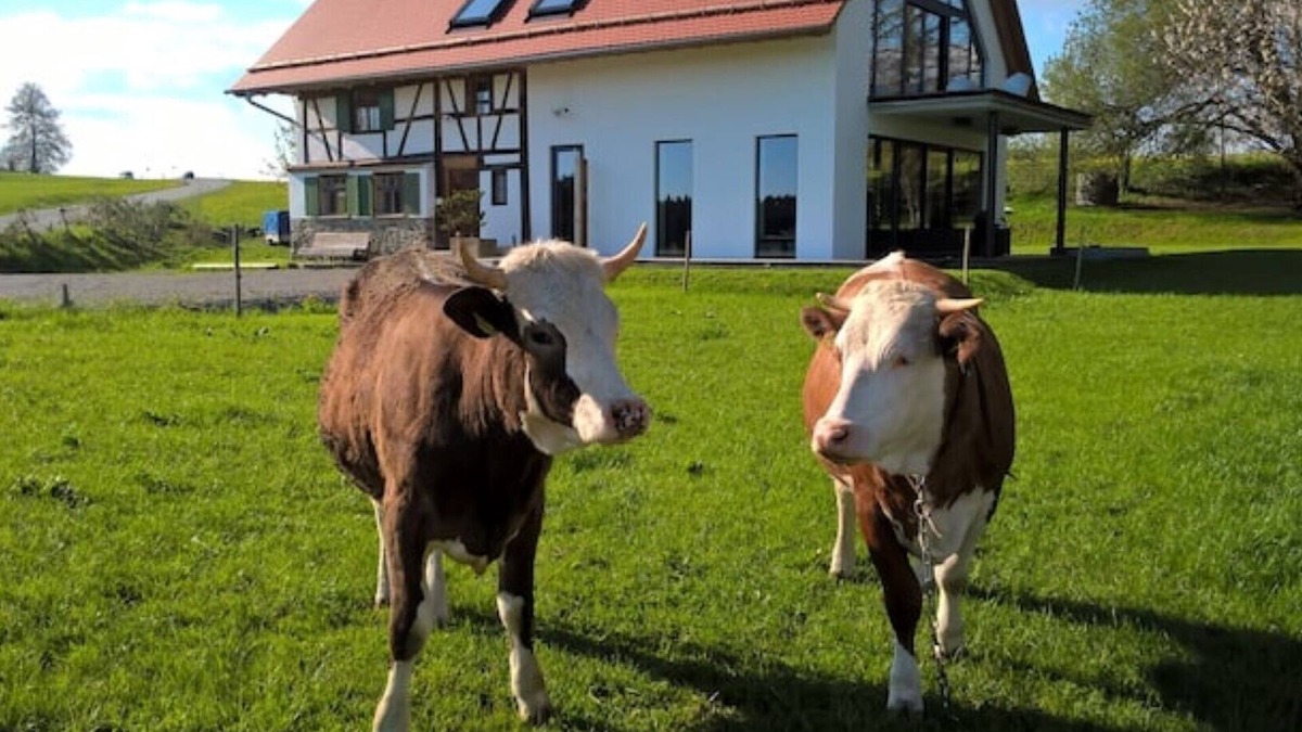 Arnach Apartment | Half-timbered house in the Allgäu with mountain views in a secluded location, gr. Garden & Sauna, Lake Constance