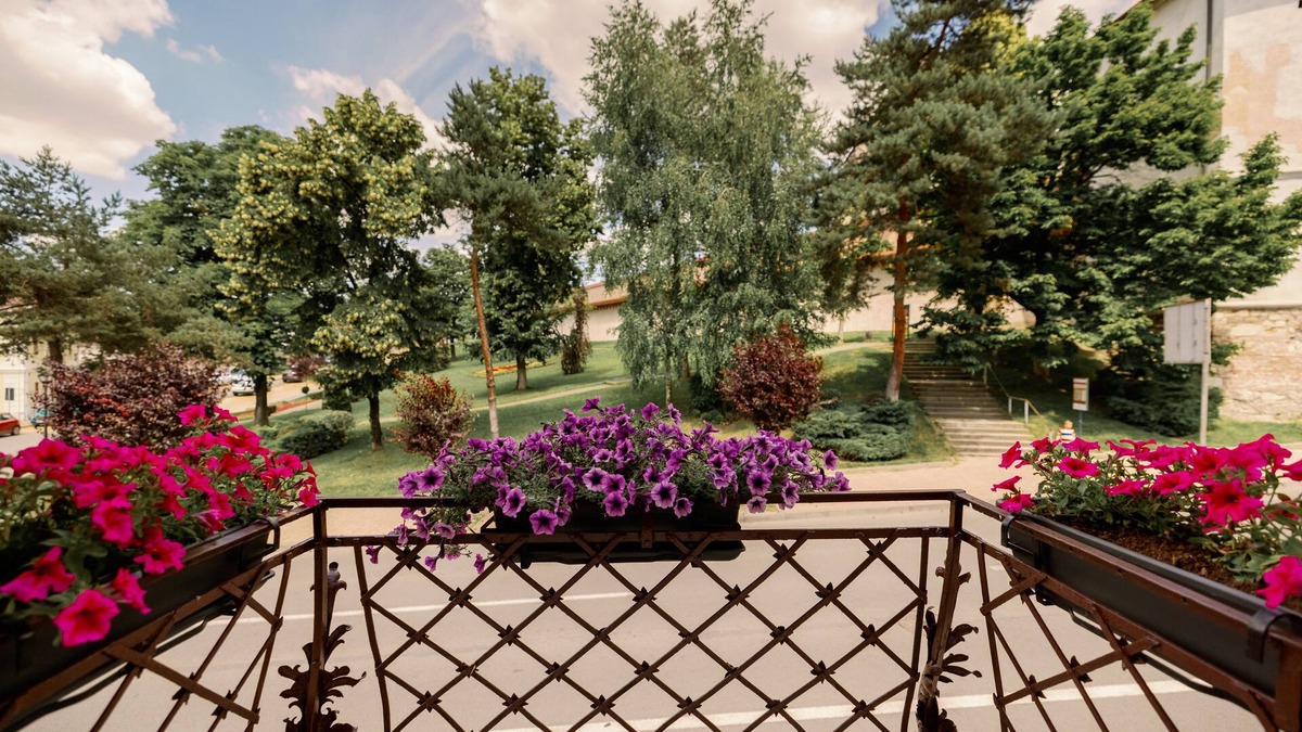 Tirgu Mures Hotel | Haller Boutique
