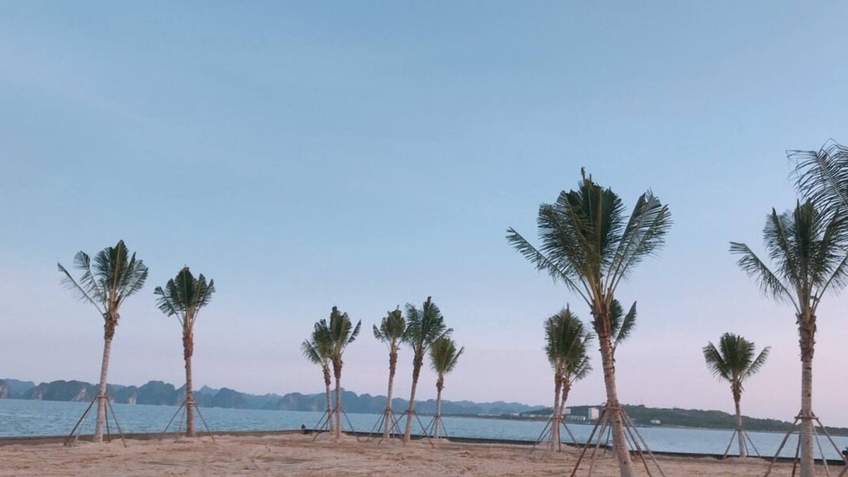 Ha Long Apartment | Halong And Me Hometel