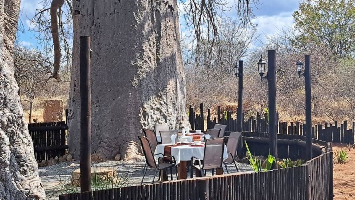 Musina Cabin | Hambana Lifestyle Lodge