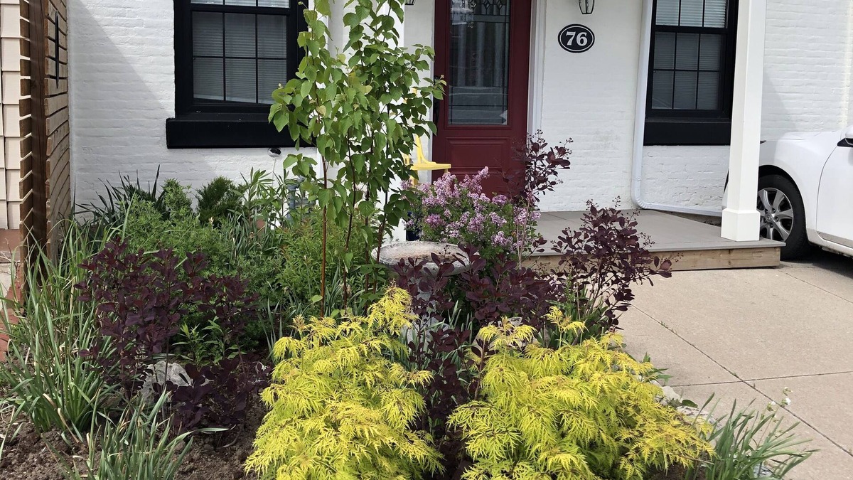 Central Hamilton House | Hamilton Arts district, short walk to waterfront Families and groups. So cosy!