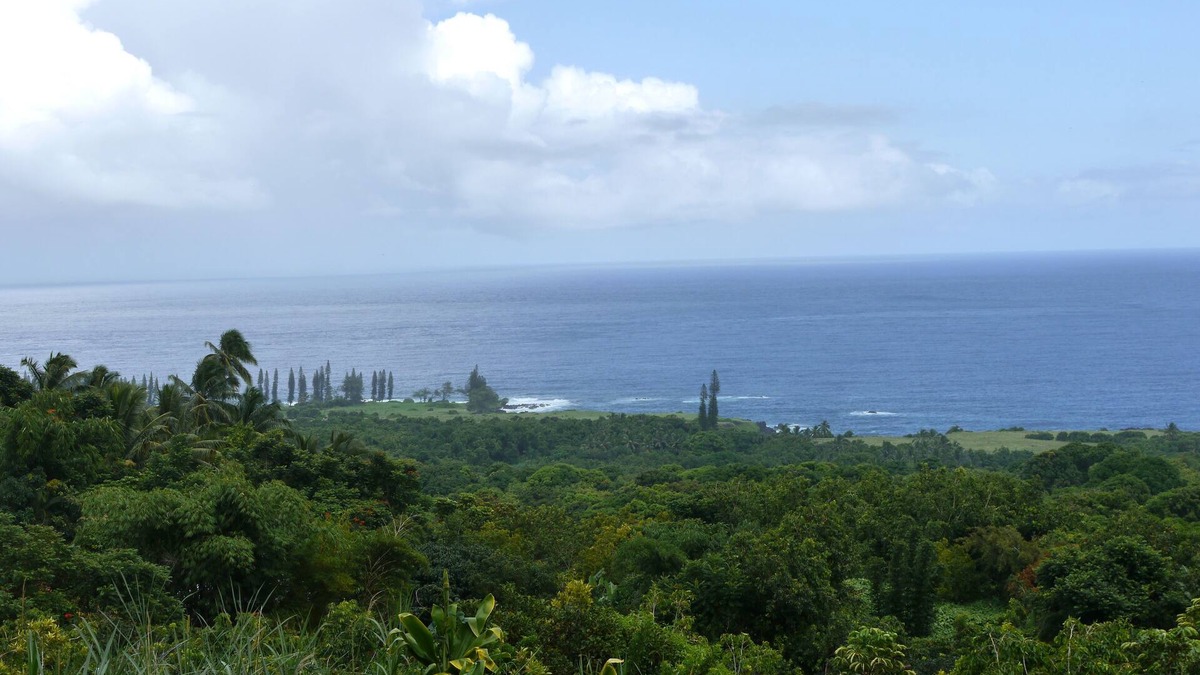 Hana Cottage | Hana's Heaven - a charming 2 bedroom cottage with spectacular ocean views