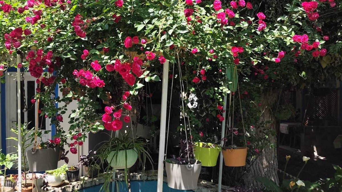 Akcay House | HANCI PANSİYON