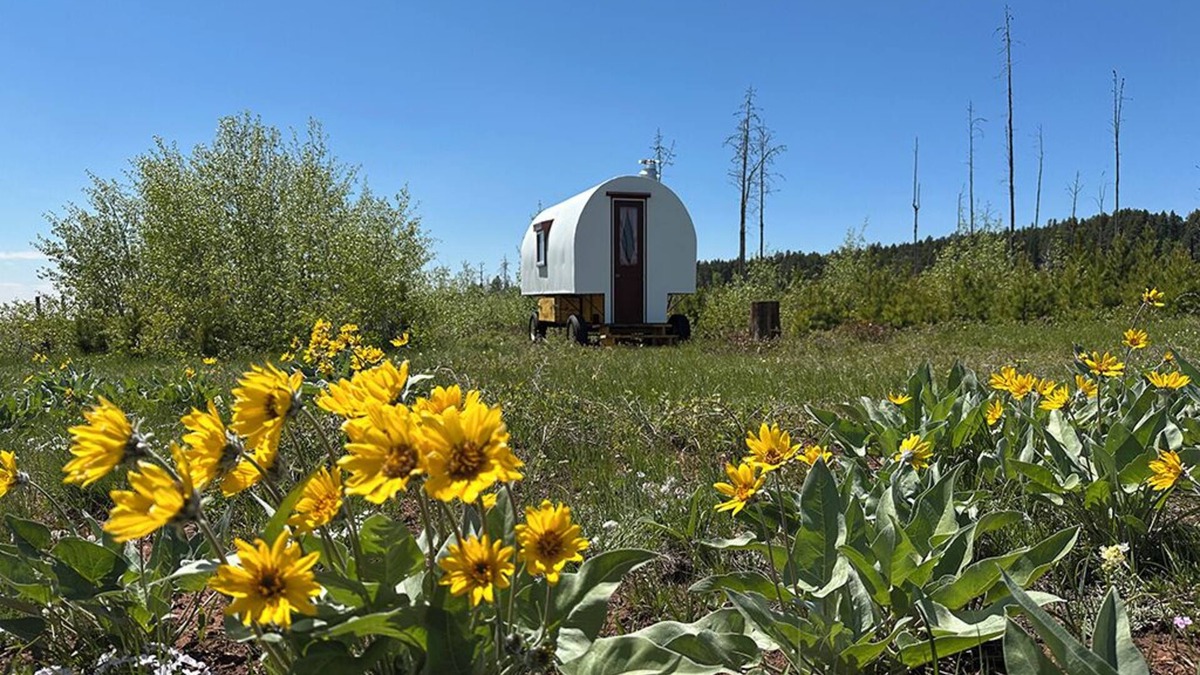 Casper House | Hand-Crafted Sheep Wagon ~ Luxuriously Rustic ~ Private Meadow Site