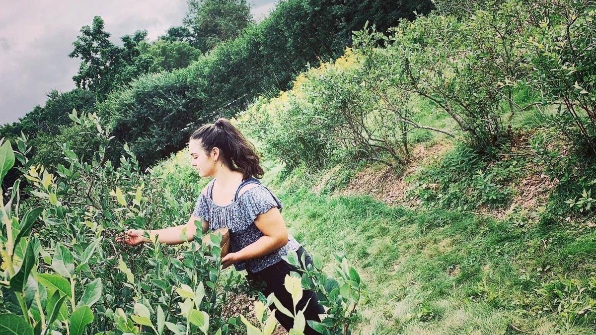 Boscawen RV Rental | Handcrafted, off-grid, no electricity-rustic-lux camping cabin w/running water.