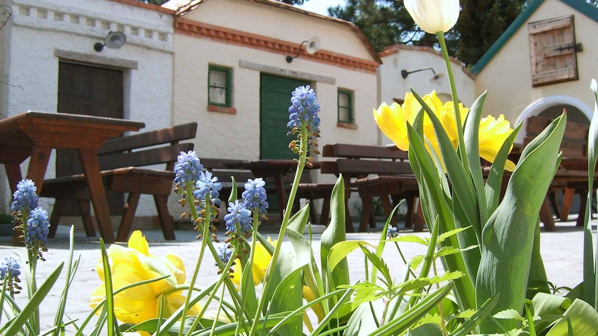 Laa an der Thaya House | Hanfthal-Hof