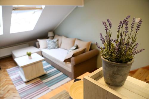Novi Sad Apartment | Hann Apartments