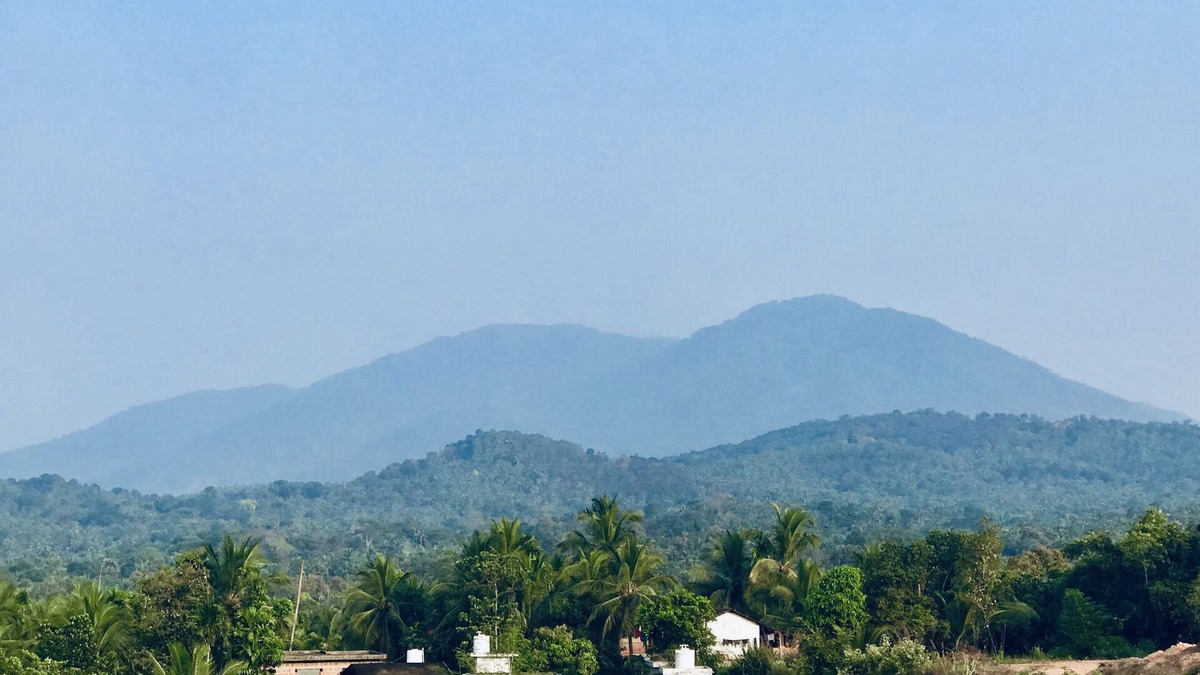 Thalassery House | HANNA HOMESTAY Our place is full of nature
