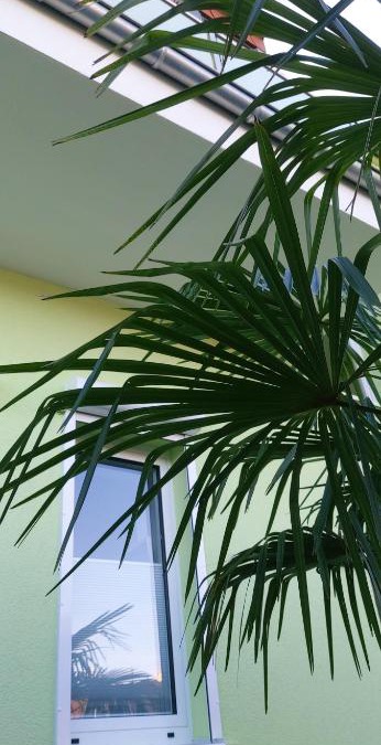Quierschied Apartment | Happy 1