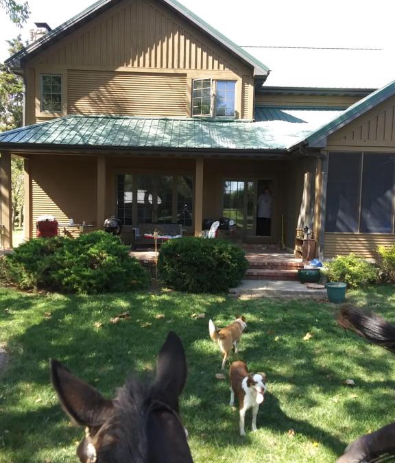 Fort Scott House | Happy Ass Farm
