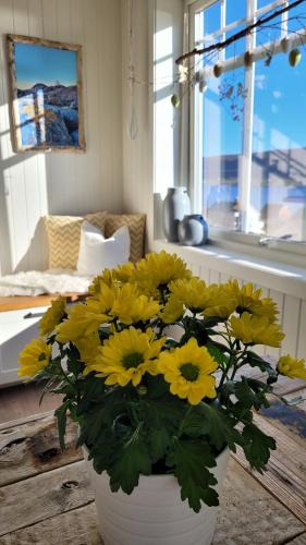 Haram Apartment | Haramsøy Holiday Apartment- Island Life North