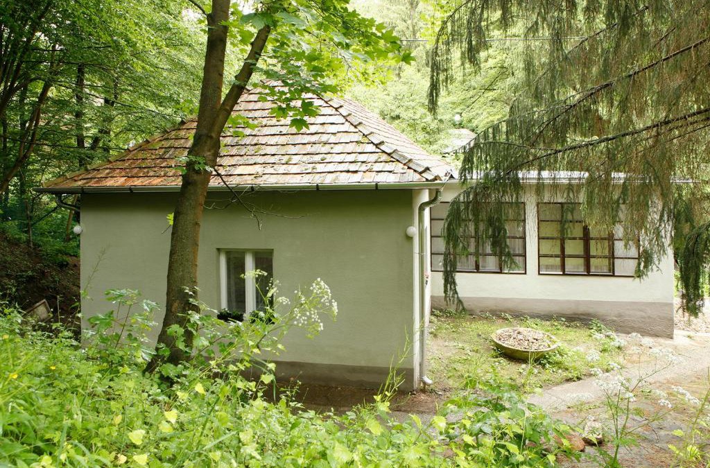 Magyarkut House | Harangvirág 36 Vendégház