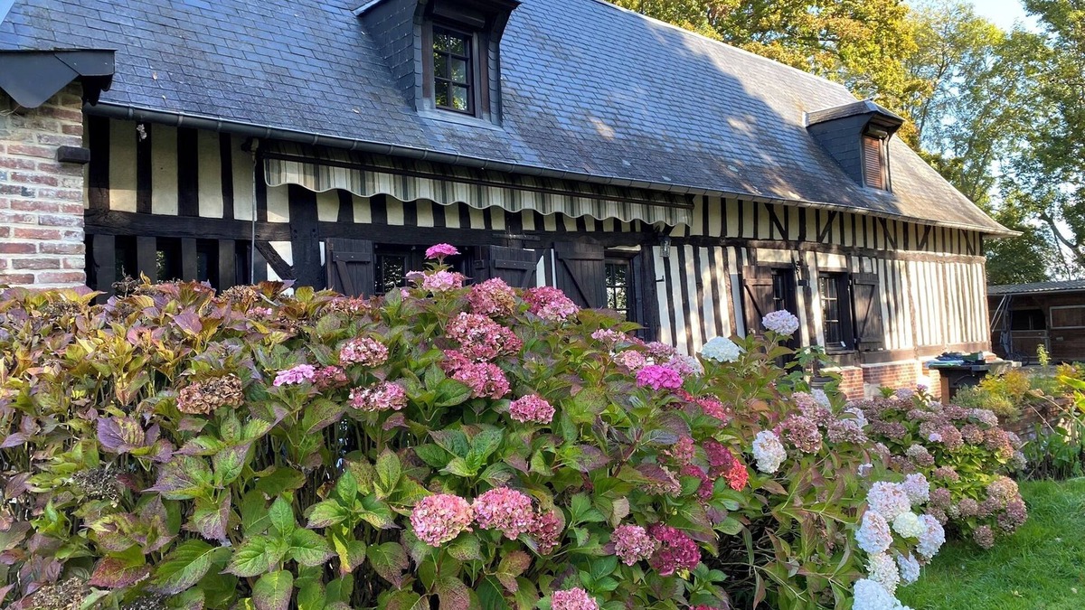 Moyaux Cottage | Haras DES Berthes - Le Gîte