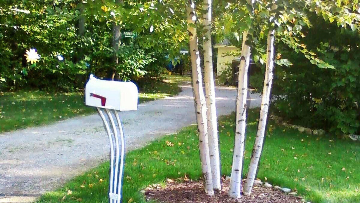Harbor Springs Cottage | Harbor Springs Cottage In The Woods