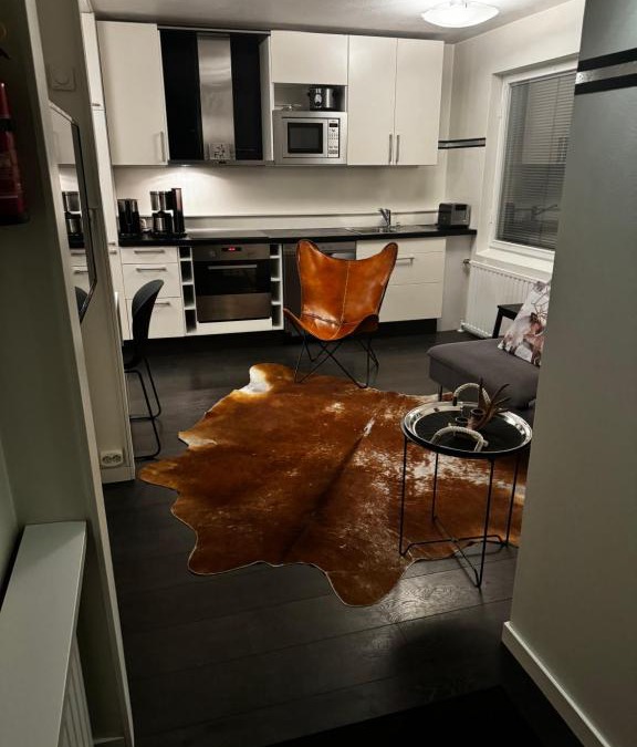 Rovaniemi Apartment | Harju-Hill