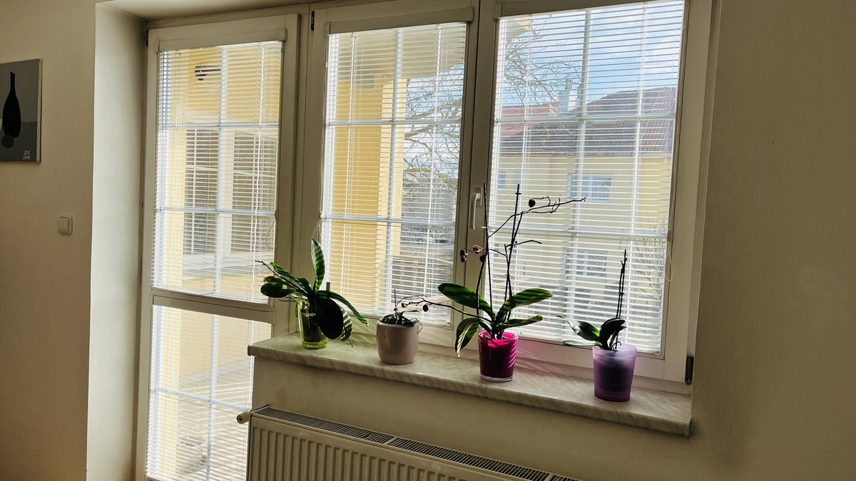Zabehlice Apartment | Harrison Homes Apartment 01 - Peaceful Oasis in Prague 10 - Garden City nn