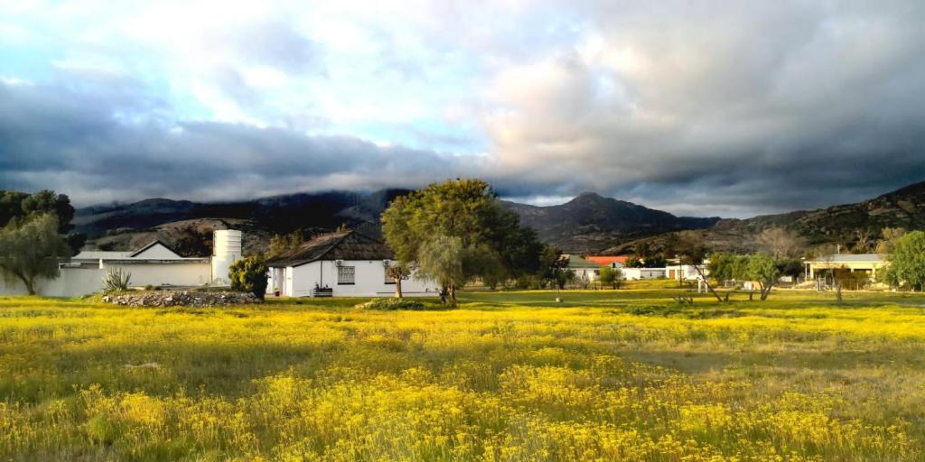 Kamieskroon House | Harry's Place Guesthouse