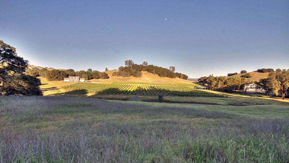 Lotus House | Hart 2 Hart Vineyards Winery Estate Farmhouse: Beauty in Coloma Valley
