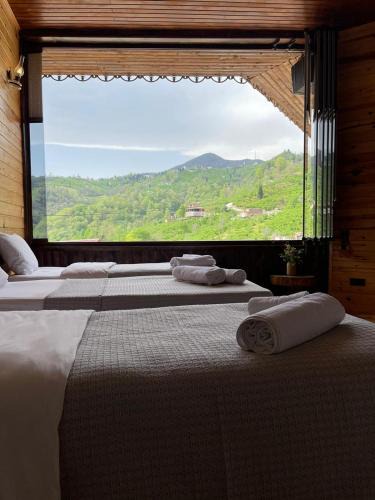 Arakli Hotel | HARUNAĞALAR 105 dağ manzaralı oda